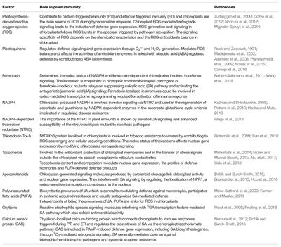 The Chloroplast Reactive Oxygen Species-Redox System in Plant Immunity and Disease